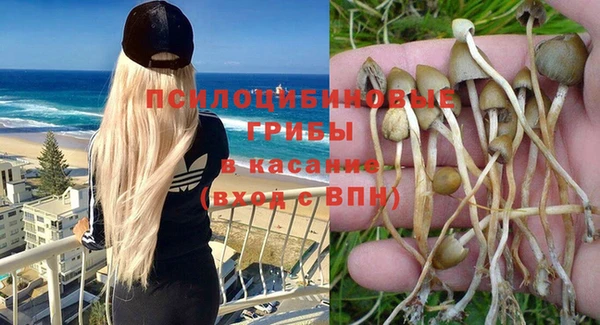 прущая мука Абаза