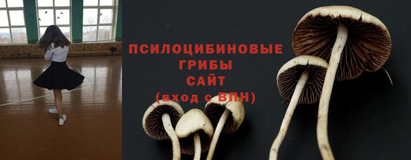 кокс Алексин