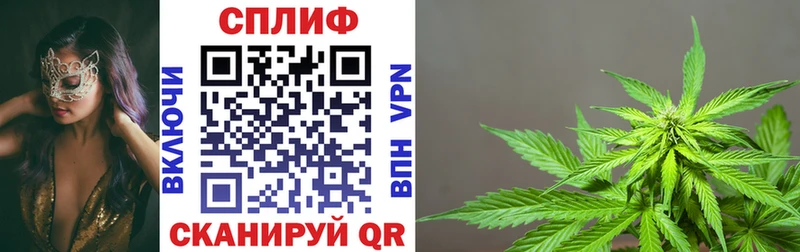 Конопля тримм  Трубчевск 